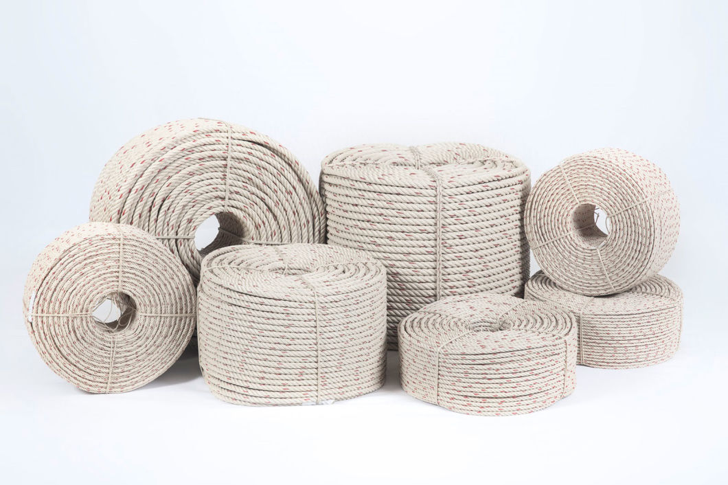 Высокое качество 3/4 Strand PP Ranke Производитель экспортер в Китае