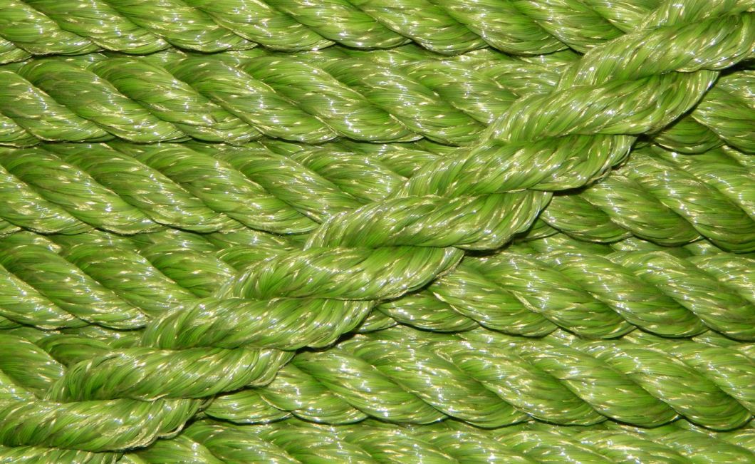 Hot Products УФ-Ферма Сельскохозяйственное использование ПП Пакетная пряжа и волокна пряжи