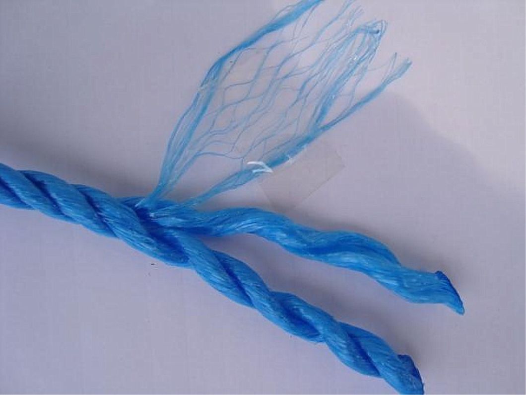 3-х стенды Высококачественная сплит пленка PP Baner Baner веревка с фибриллированной пряжей