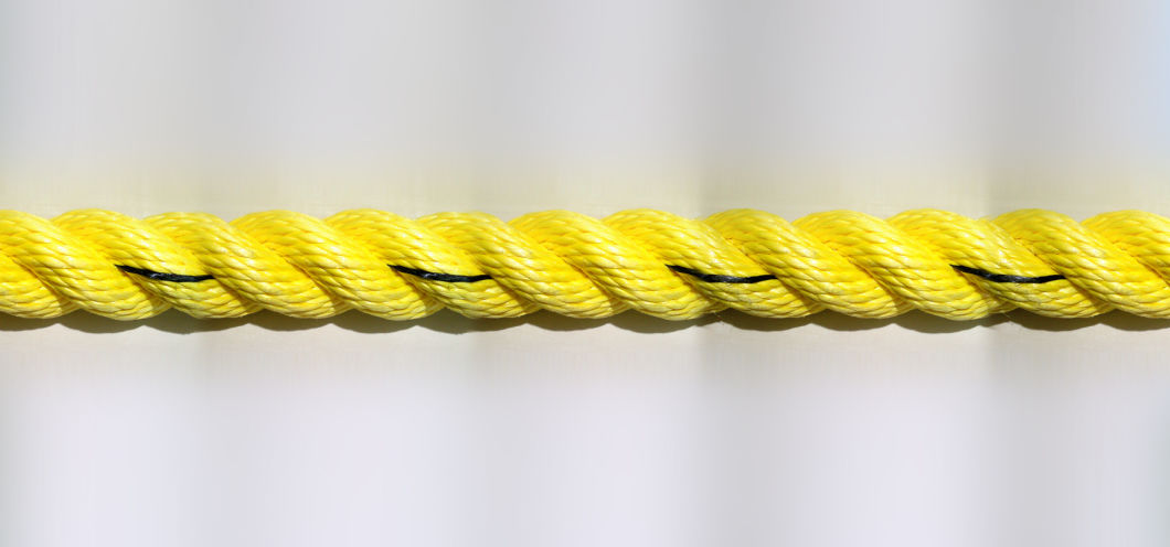 Утилизация коммерческого качества PP / PE Danline Easurth