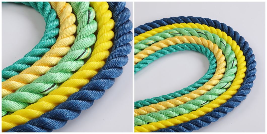 Китай Завод 3 пряди PP Danline веревка в хорошем качестве